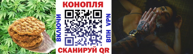 Canna-Cookies конопля  Чебоксары 