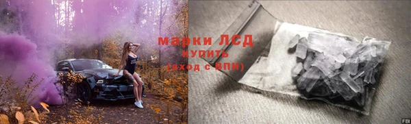 прущие грибы Алексин