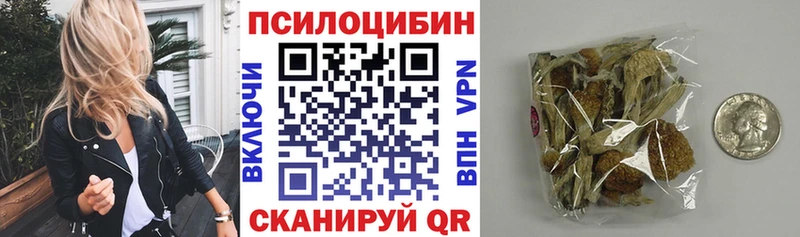 Галлюциногенные грибы мицелий  Чебоксары 
