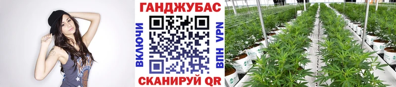 наркотики Чебоксары Бошки марихуана White Widow